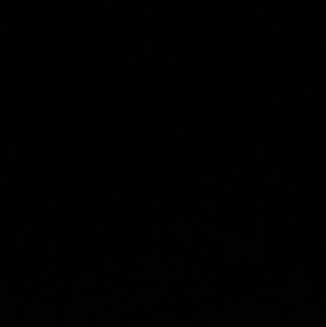 Meet your Posher, Will